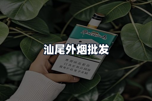汕尾外烟批发